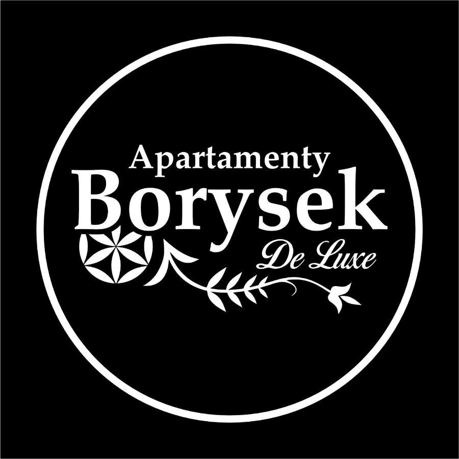 Homestay Borysek De Lux *